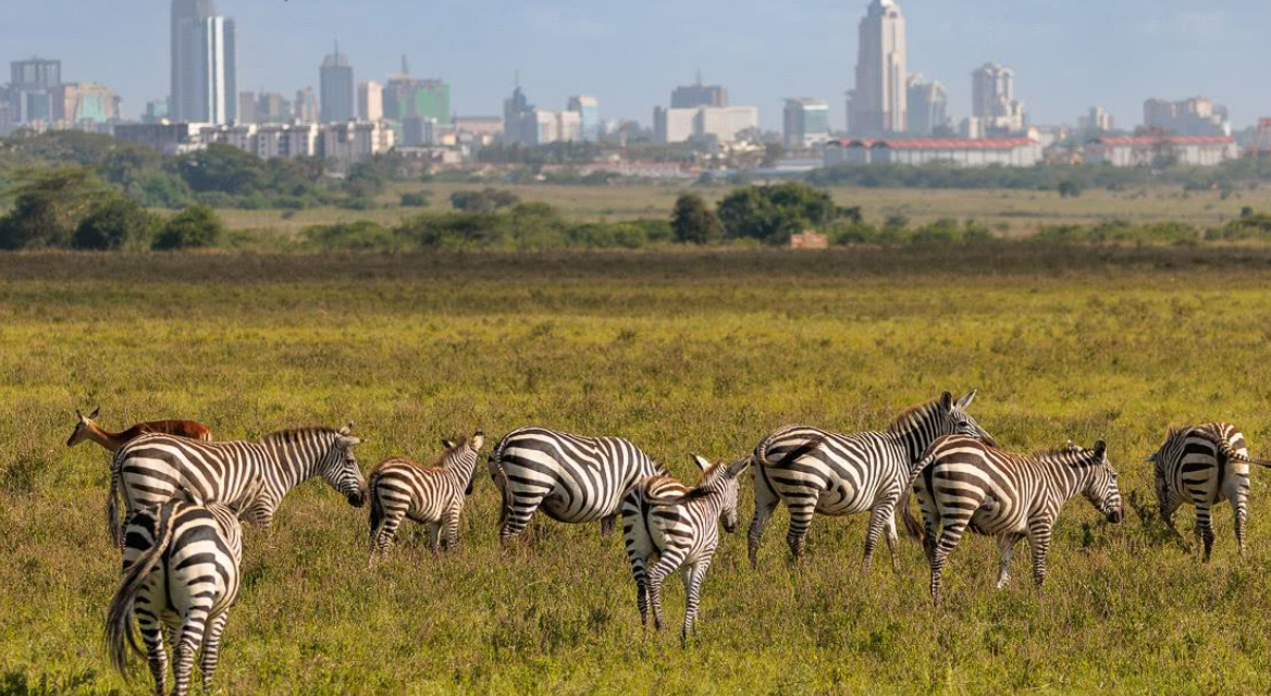 15 Fun Things To Do In Nairobi