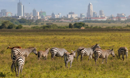 15 Fun Things To Do In Nairobi