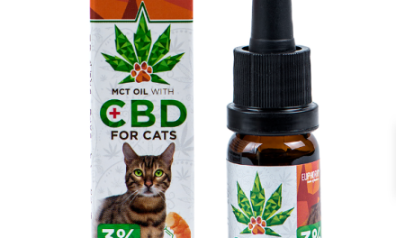 What Makes Hemp CBD Oil a Good Choice for Cats