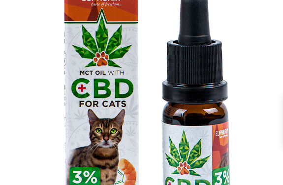 What Makes Hemp CBD Oil a Good Choice for Cats