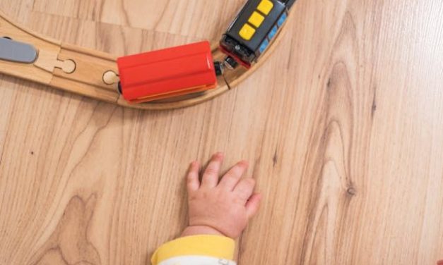 Potty Training 101: Everything You Need to Know to Support Your Child