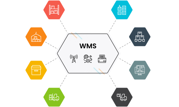 Unleashing the Power of WMS: Exploring Advanced Features and Functions