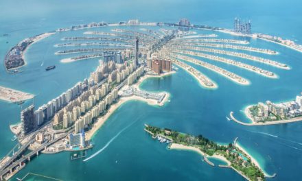 Get a Pet-Friendly Environment In Palm Jumeirah Community