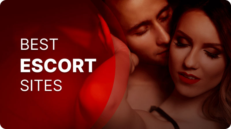 Premium Escort Website Platform: The Perfect Blend of Style and Practicality